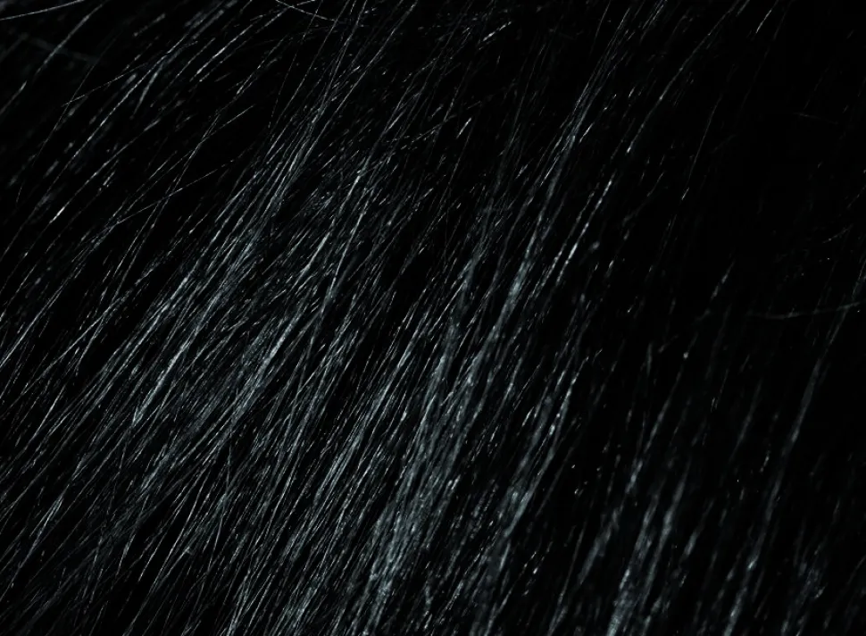 Shampoo für Haare, Bart und Schnurrbart ohne Ammoniak oder Parabene