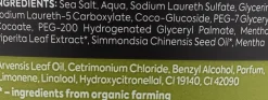 Shampoo-Peeling für das Haar mit Meersalz und Minze Alles in Einem