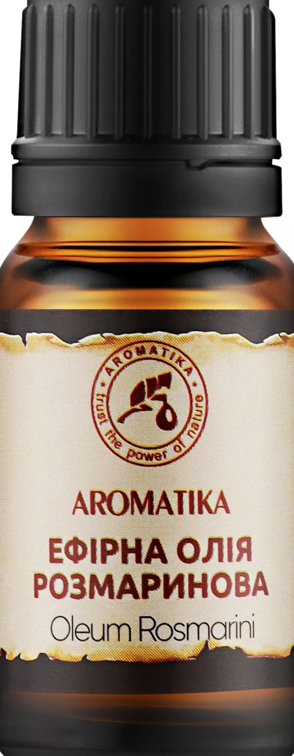 Ätherisches Bio Rosmarinöl