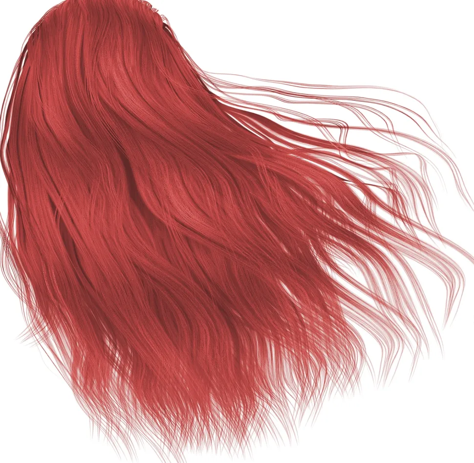 Tönungsshampoo