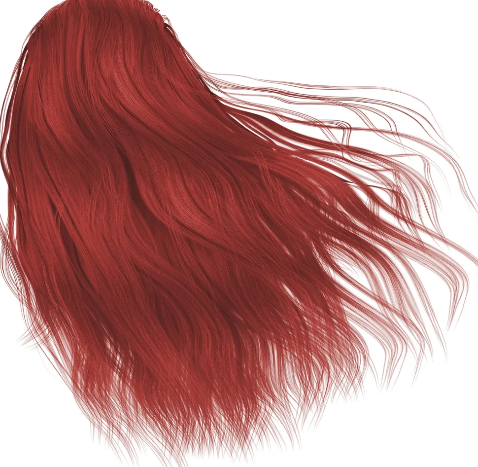 Tönungsshampoo