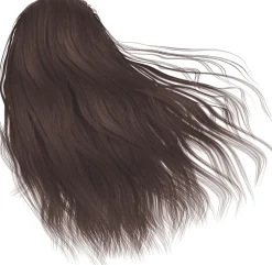 Tönungsshampoo