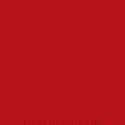 Yves Saint Laurent Tatouage Couture Matte Stain Fall