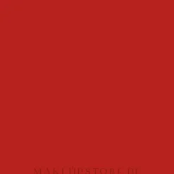 Yves Saint Laurent Tatouage Couture Matte Stain Fall